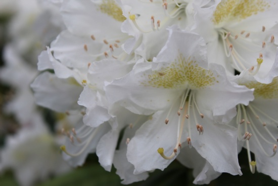 Newsletters 060625